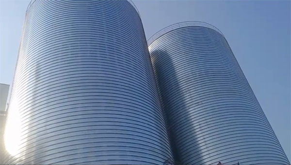 南溪2座混凝土高架卷板仓